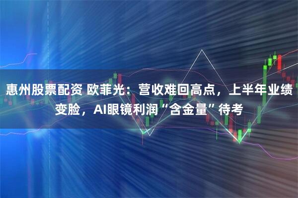 惠州股票配资 欧菲光：营收难回高点，上半年业绩变脸，AI眼镜利润“含金量”待考