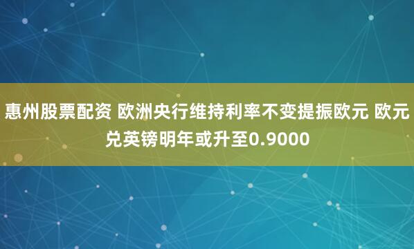 惠州股票配资 欧洲央行维持利率不变提振欧元 欧元兑英镑明年或升至0.9000